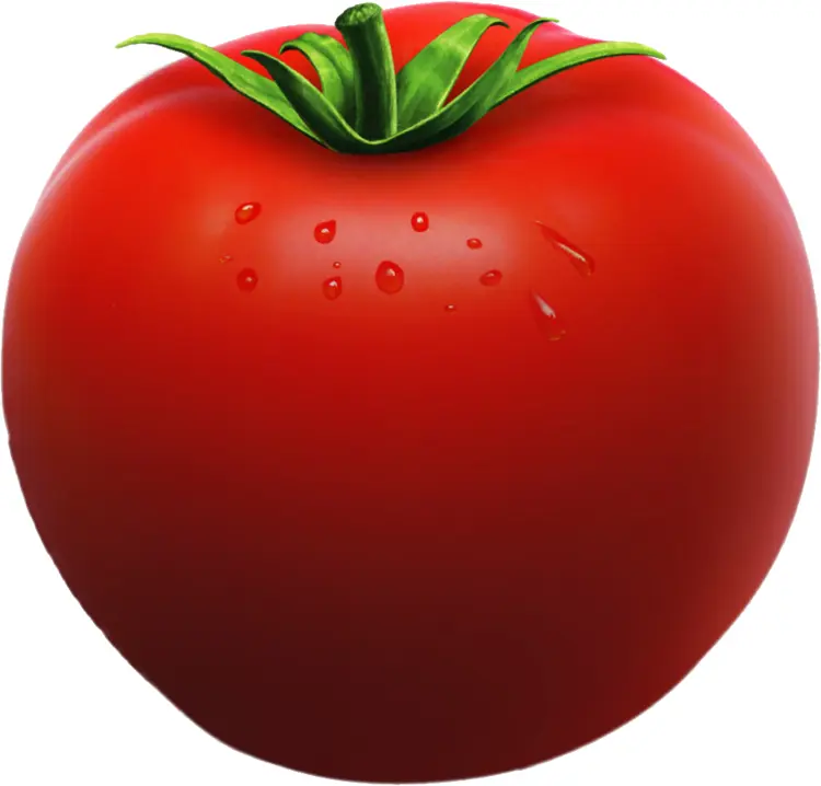 Fresh Red Tomato for Healthy Meals