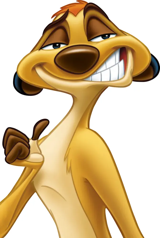 Meerkat with a Cheeky Smile