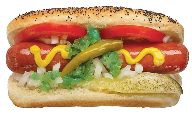 Authentic Chicago Style Hot Dog