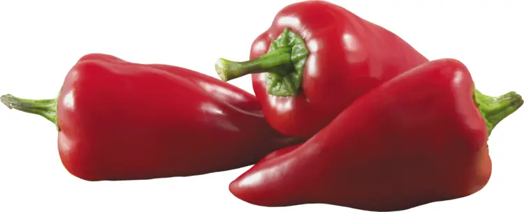 Fresh Red Bell Peppers