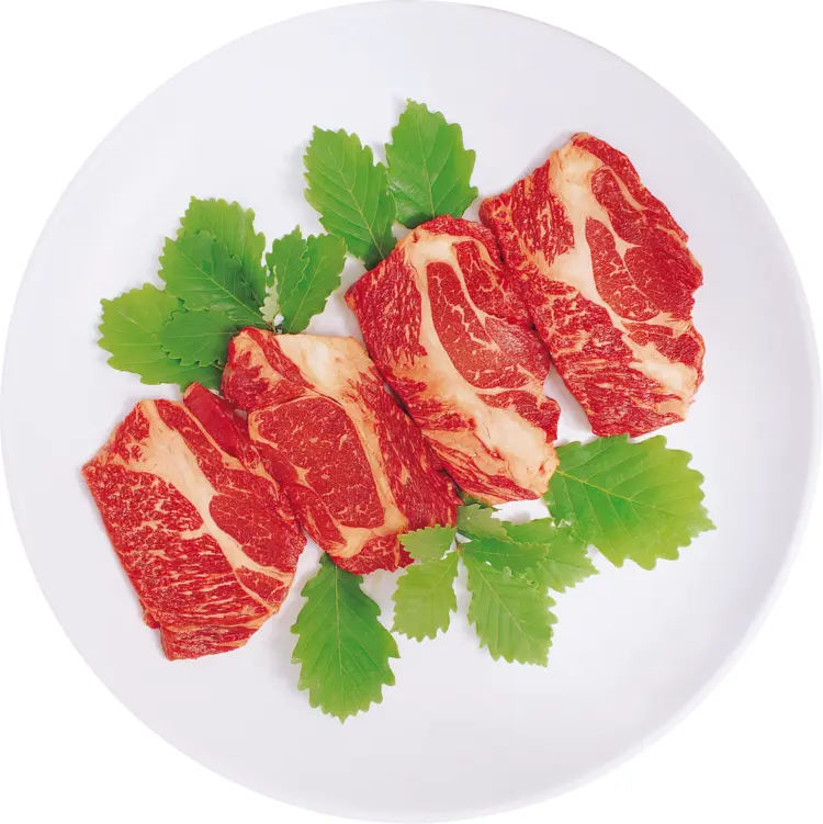 Marbled Meat on Plate with Green Garnish