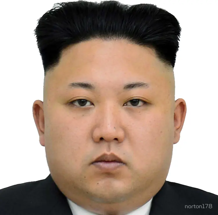 Man with Unique Hairstyle
