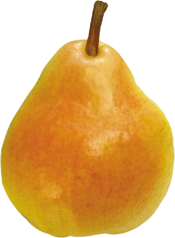 Orange Pear on Transparent Background