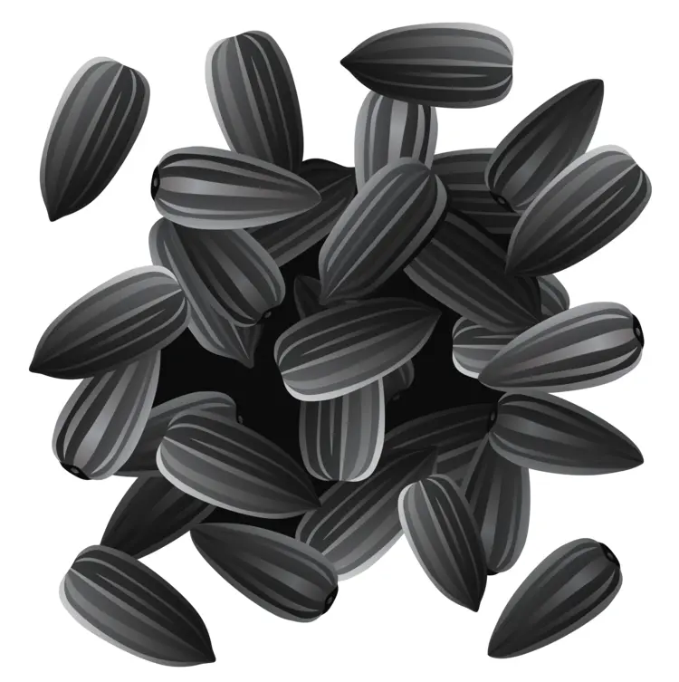 Sunflower Seeds for Healthy Snacking