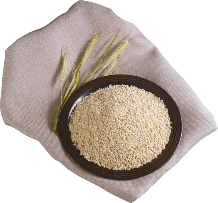 Healthy Barley Grain