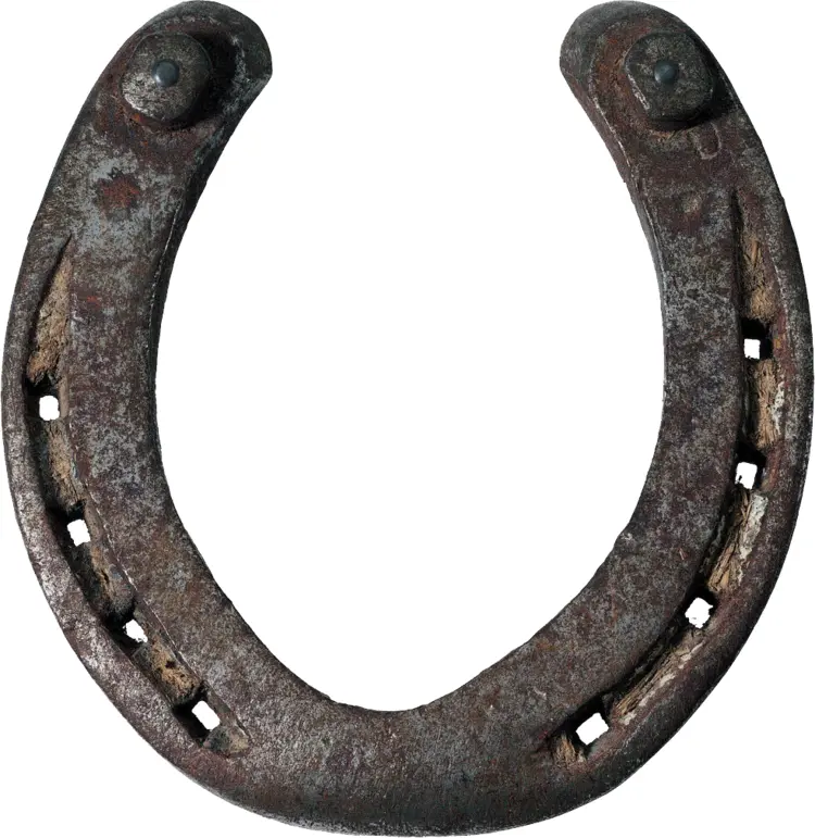 Rusty Horseshoe