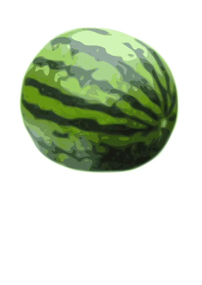 Whole Watermelon