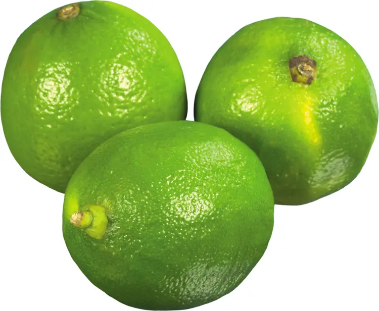 Three Fresh Green Limes