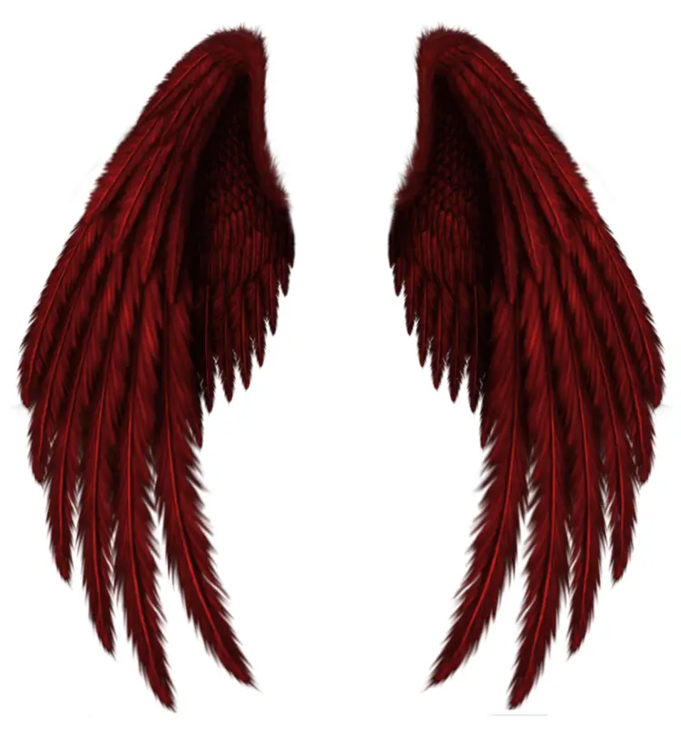Red Wings