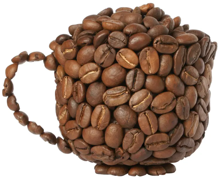 Cup Made of Coffee Beans