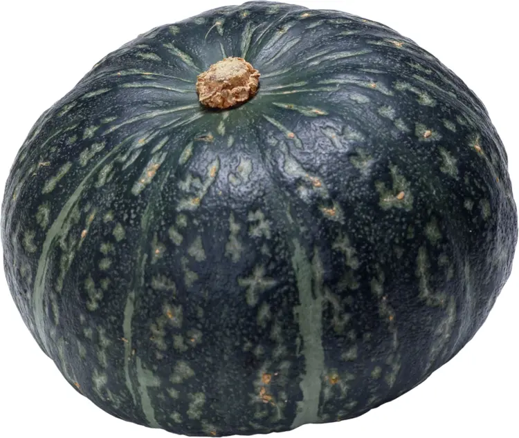 Whole Green Pumpkin