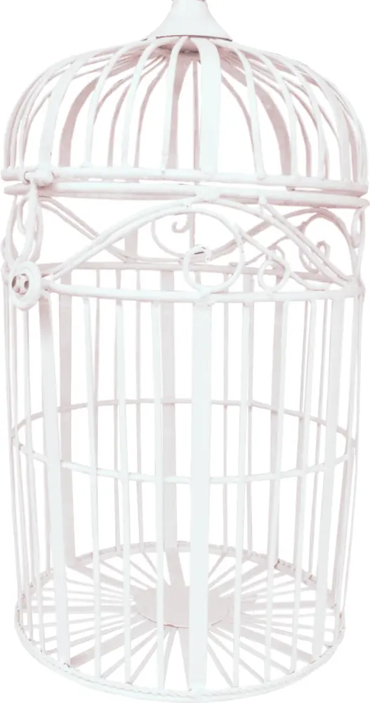 Decorative White Birdcage