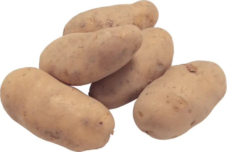 Brown Raw Potatoes
