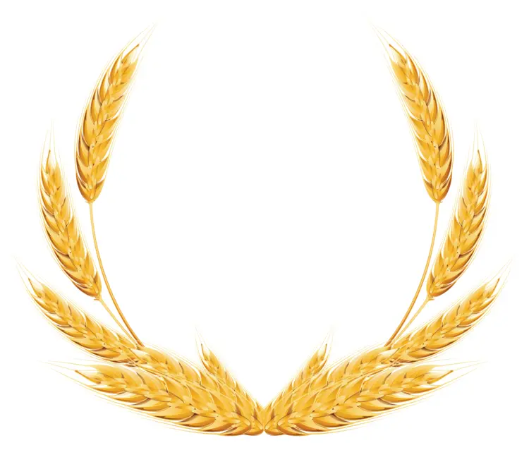Golden Wheat Wreath for Harvest Celebration