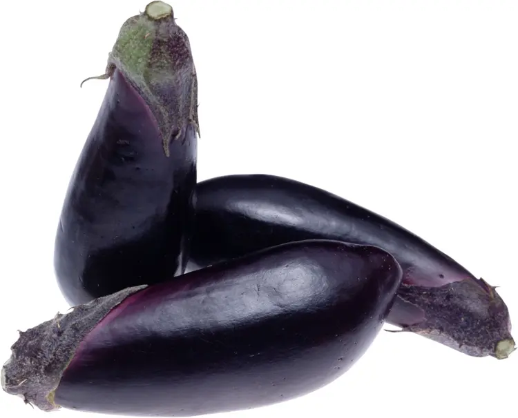 Three Black Eggplants