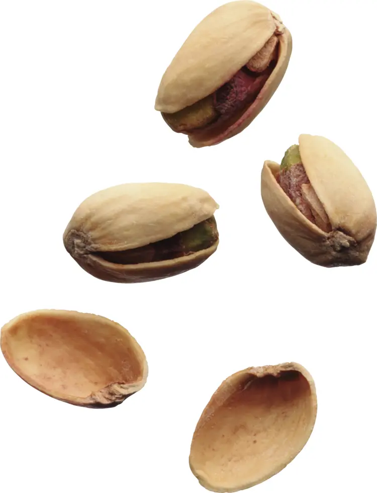 Pistachios with Shells