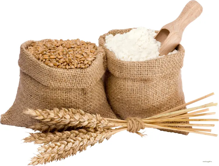 Sacks of Wheat and Flour with Wooden Scoop