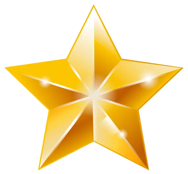 Glossy Shiny Star Decoration