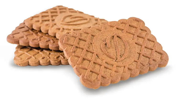 Square Biscuits