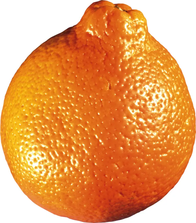 Whole Orange Fruit