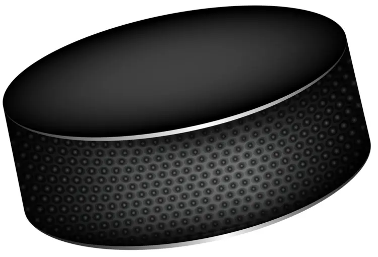 Black Hockey Puck for Ice Hockey