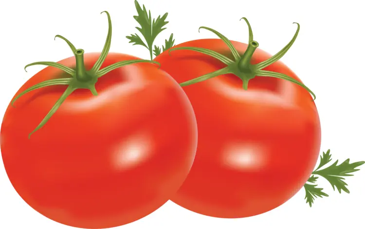 Red Tomatoes with Leaves