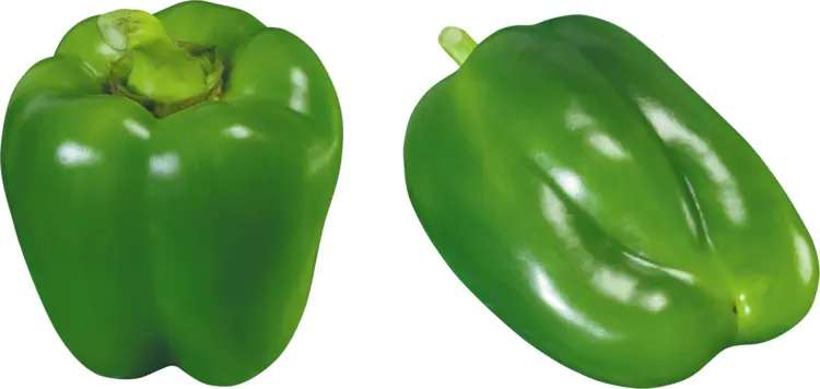 Pair of Green Bell Peppers for Cooking
