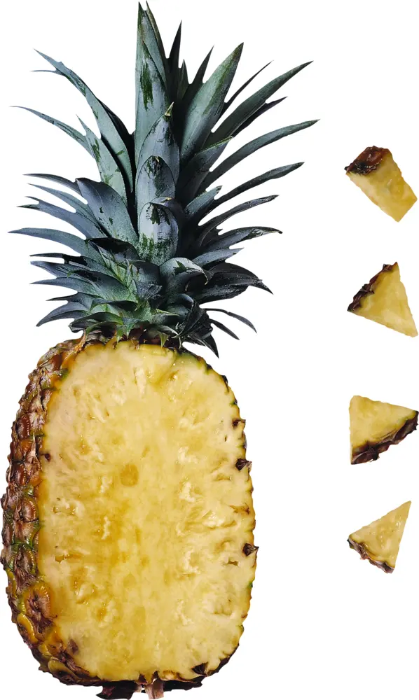 Tropical Yellow Pineapple with Slices