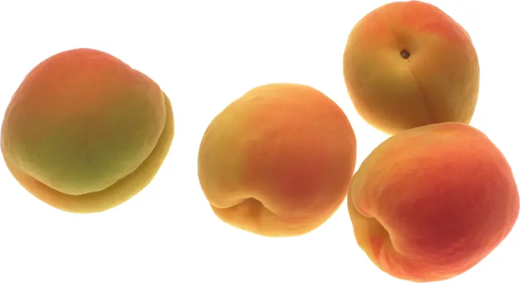 Fresh Apricots