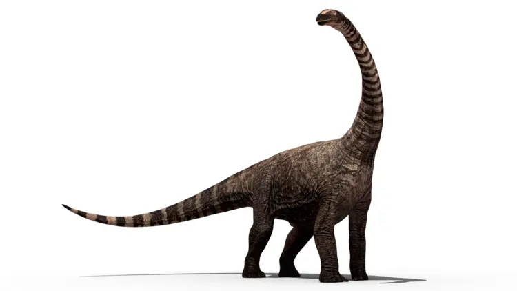 Standing Brachiosaurus with Long Neck