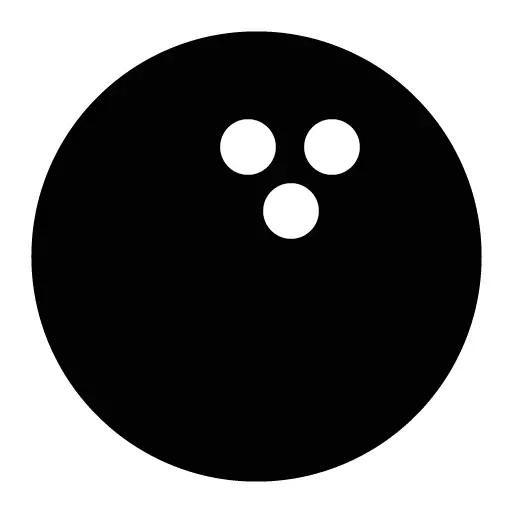 Black Silhouette Bowling Ball for Sports and Recreation