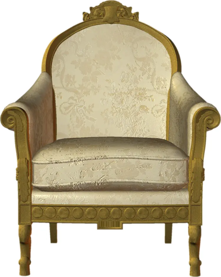 Vintage Armchair with Elegant Design
