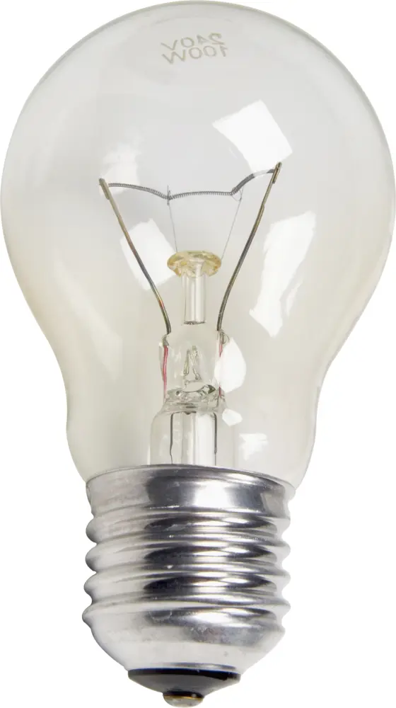 Classic Incandescent Light Bulb