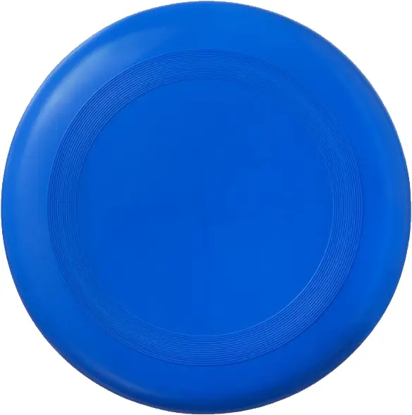 Blue Frisbee for Outdoor Play