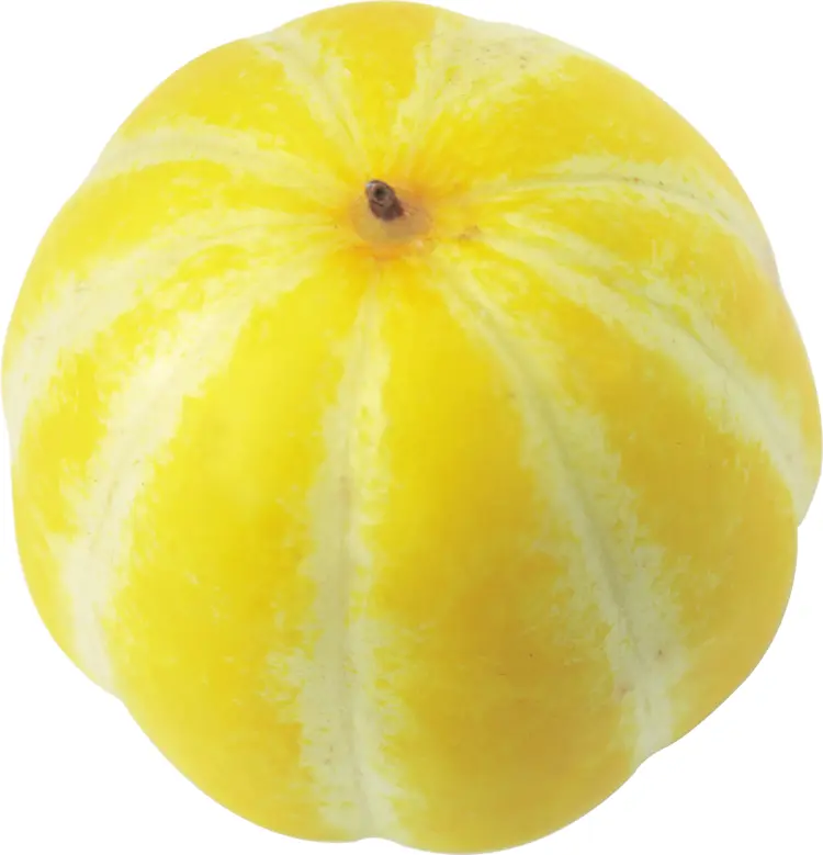 Round Yellow Melon