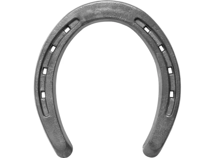 Metal Horseshoe for Good Luck