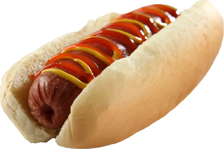 Tasty Hot Dog with Ketchup and Mustard