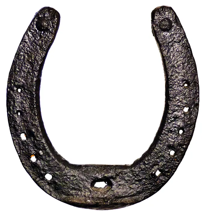 Rusty Antique Horseshoe