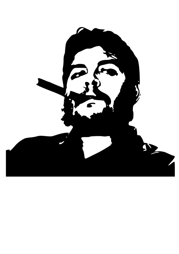 Iconic Black and White Portrait Illustration