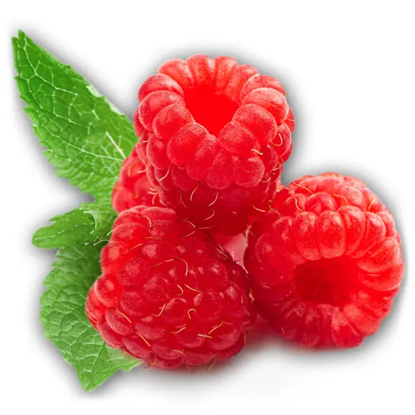 Fresh Red Raspberries