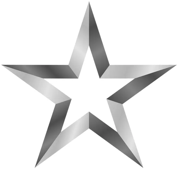 Silver Star Outline Icon
