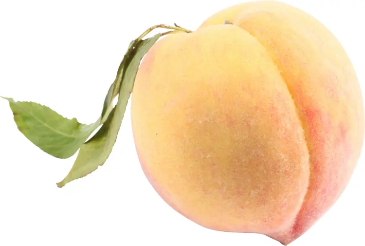 Fresh Peach with Green Leaf