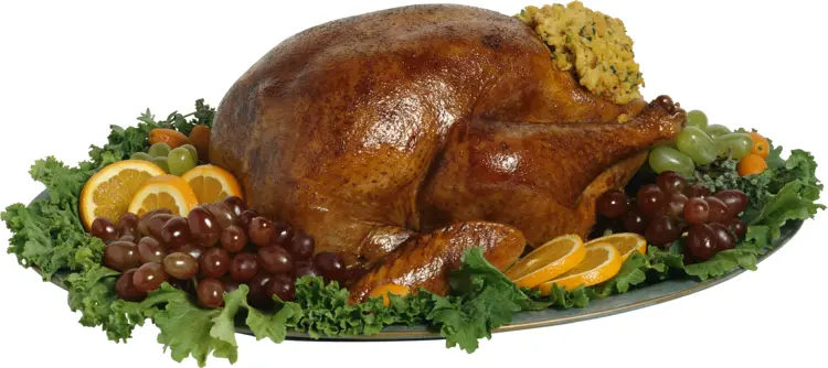 Festive Roasted Turkey with Stuffing and Fruits