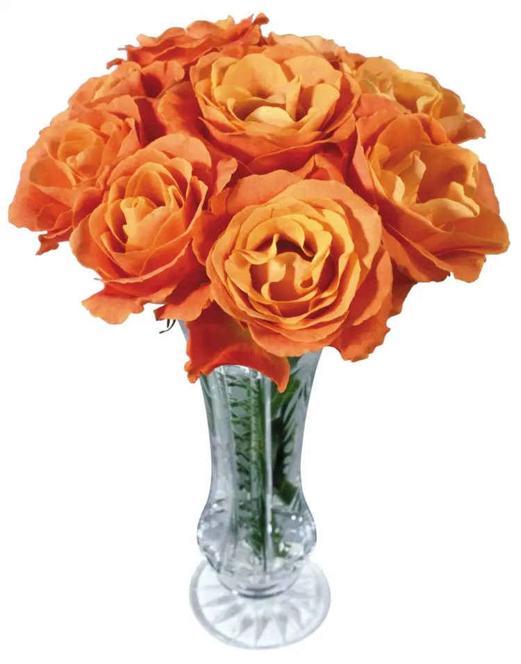 Elegant Glass Vase with Orange Flowers for Home Decor