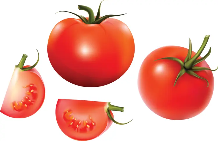 Fresh Red Tomato and Slices