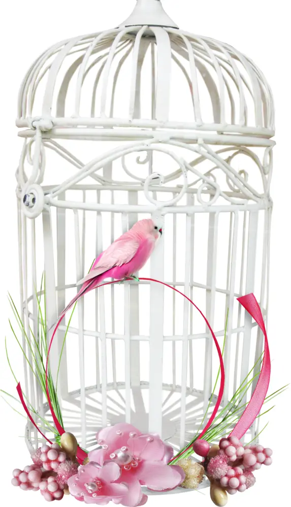 Pink Bird in Decorative White Cage