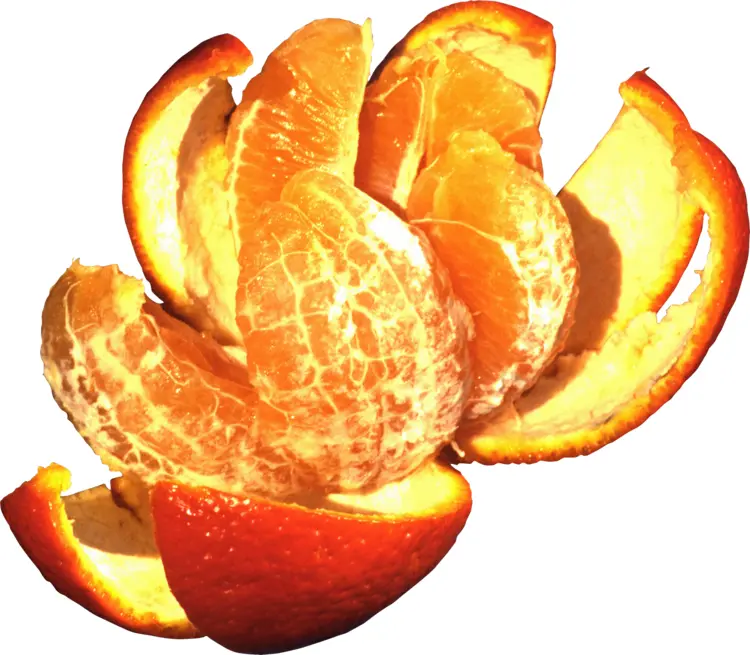 Peeled Orange with Segments