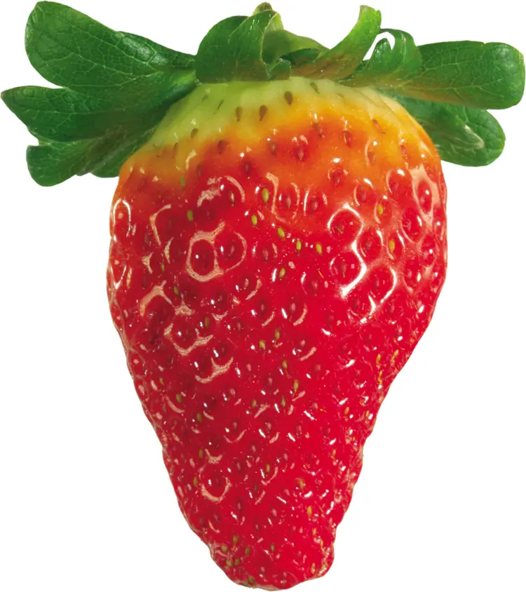 Fresh Red Strawberry