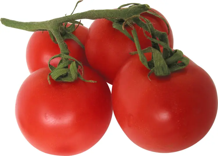 Cluster of Fresh Red Tomatoes