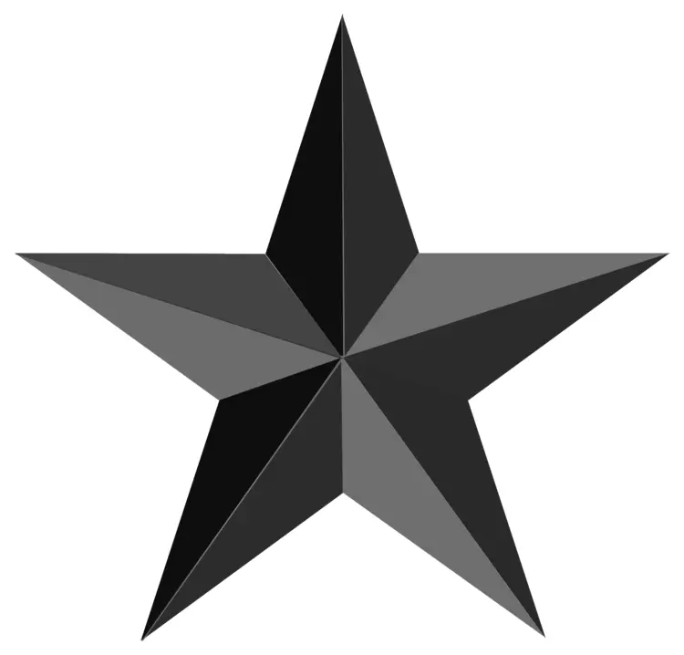Black Five-pointed Star Icon